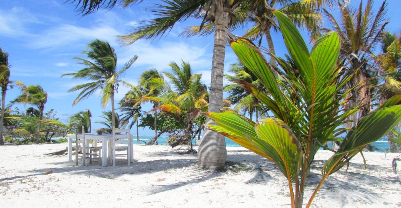 Cabanas Ecoturisticas Costa Maya Mahahual Exteriör bild