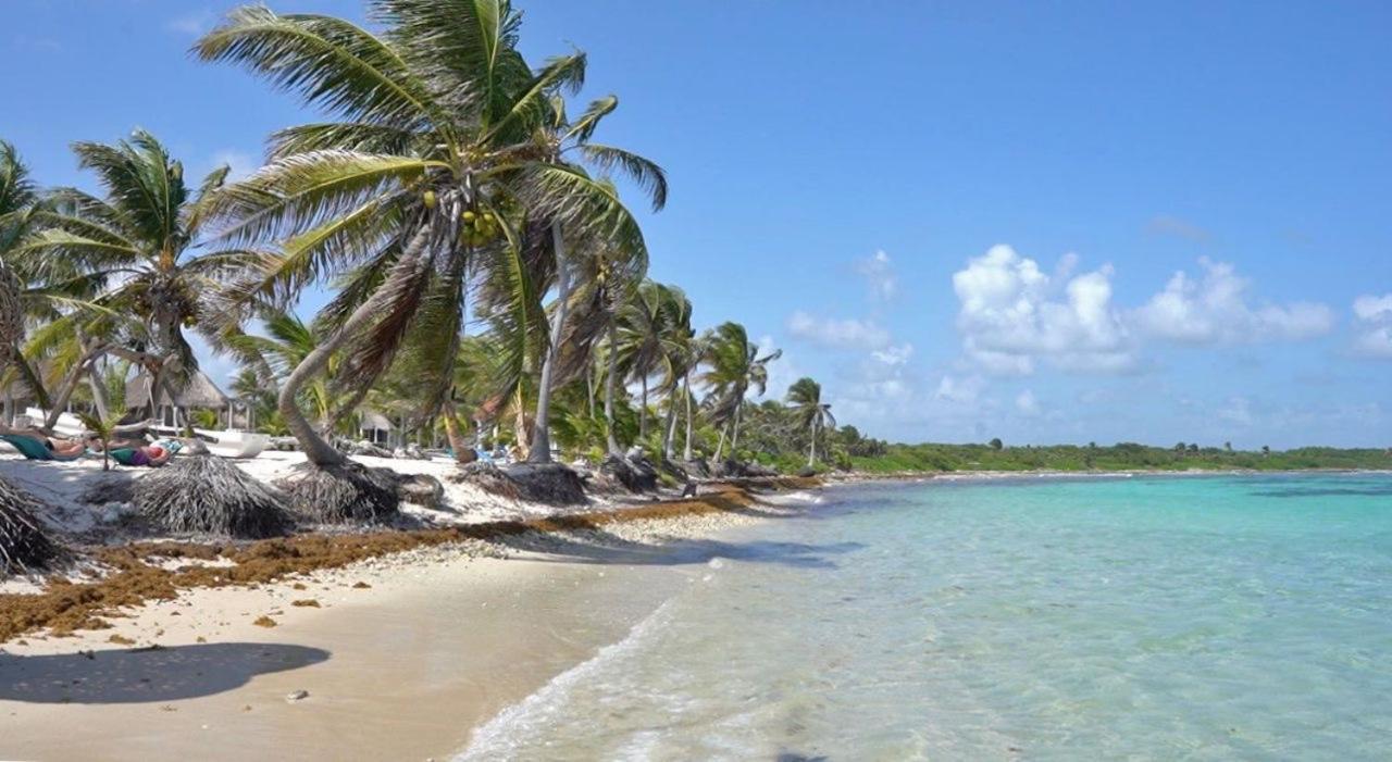 Cabanas Ecoturisticas Costa Maya Mahahual Exteriör bild