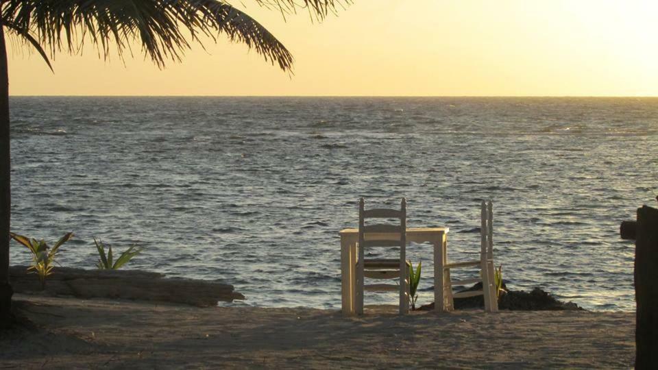 Cabanas Ecoturisticas Costa Maya Mahahual Exteriör bild