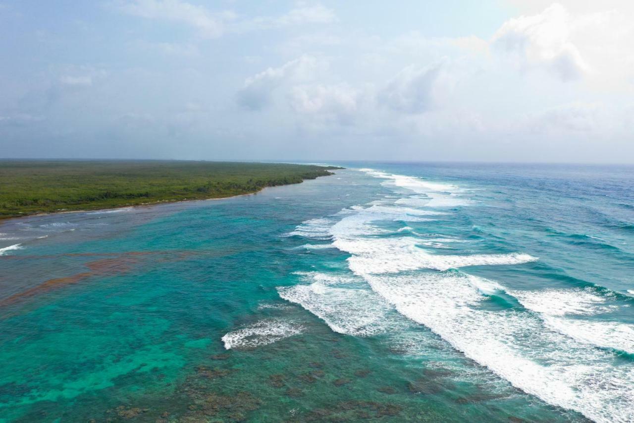 Cabanas Ecoturisticas Costa Maya Mahahual Exteriör bild