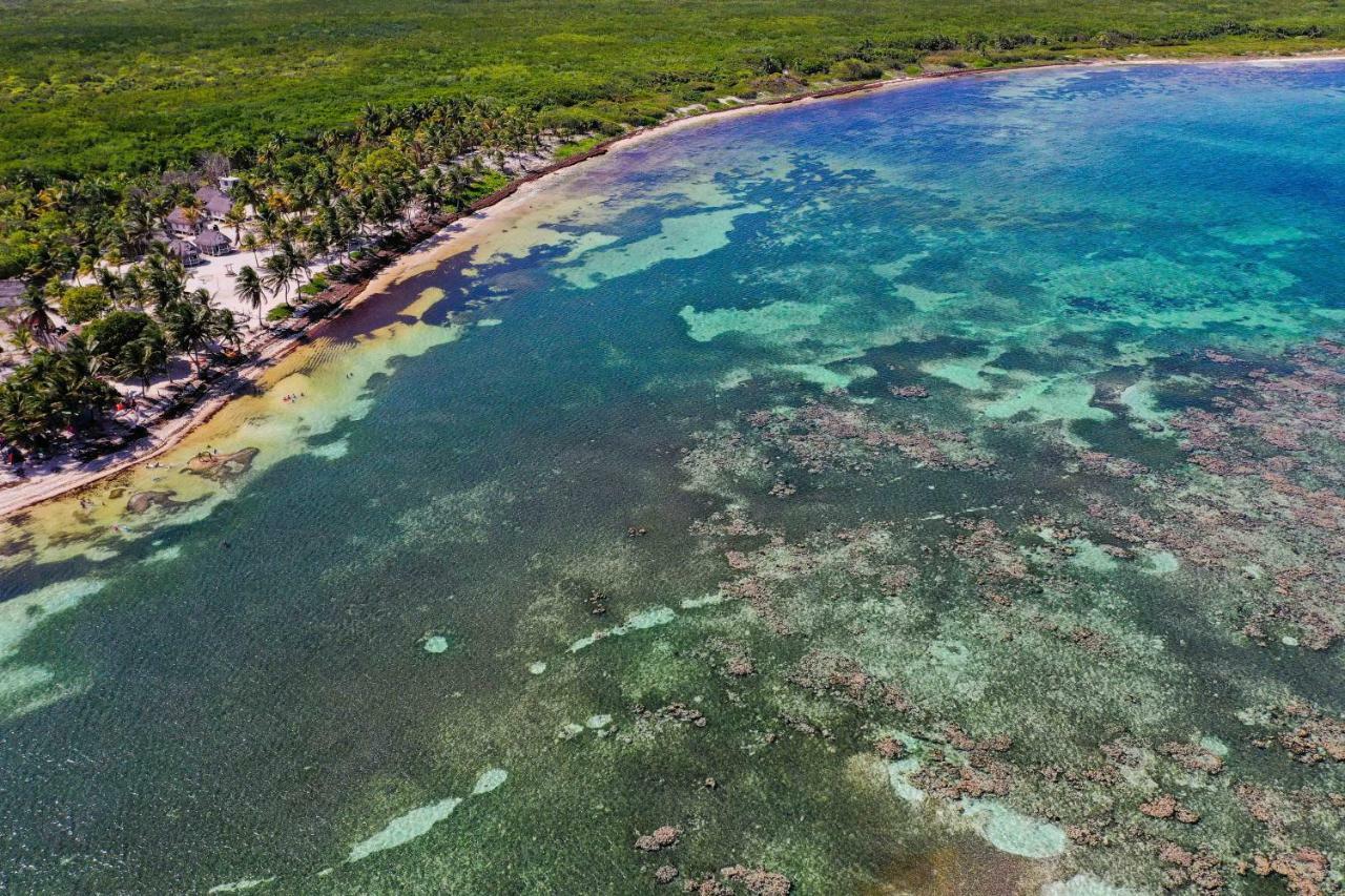 Cabanas Ecoturisticas Costa Maya Mahahual Exteriör bild